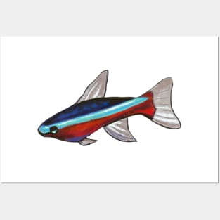 Neon Tetra Posters and Art